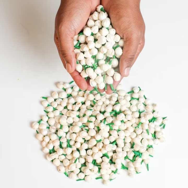 Artificial Mogra Buds/Jasmine Flower for Jewellery Making, Craft Material Hair Accessory Set (White- 500 Buds)