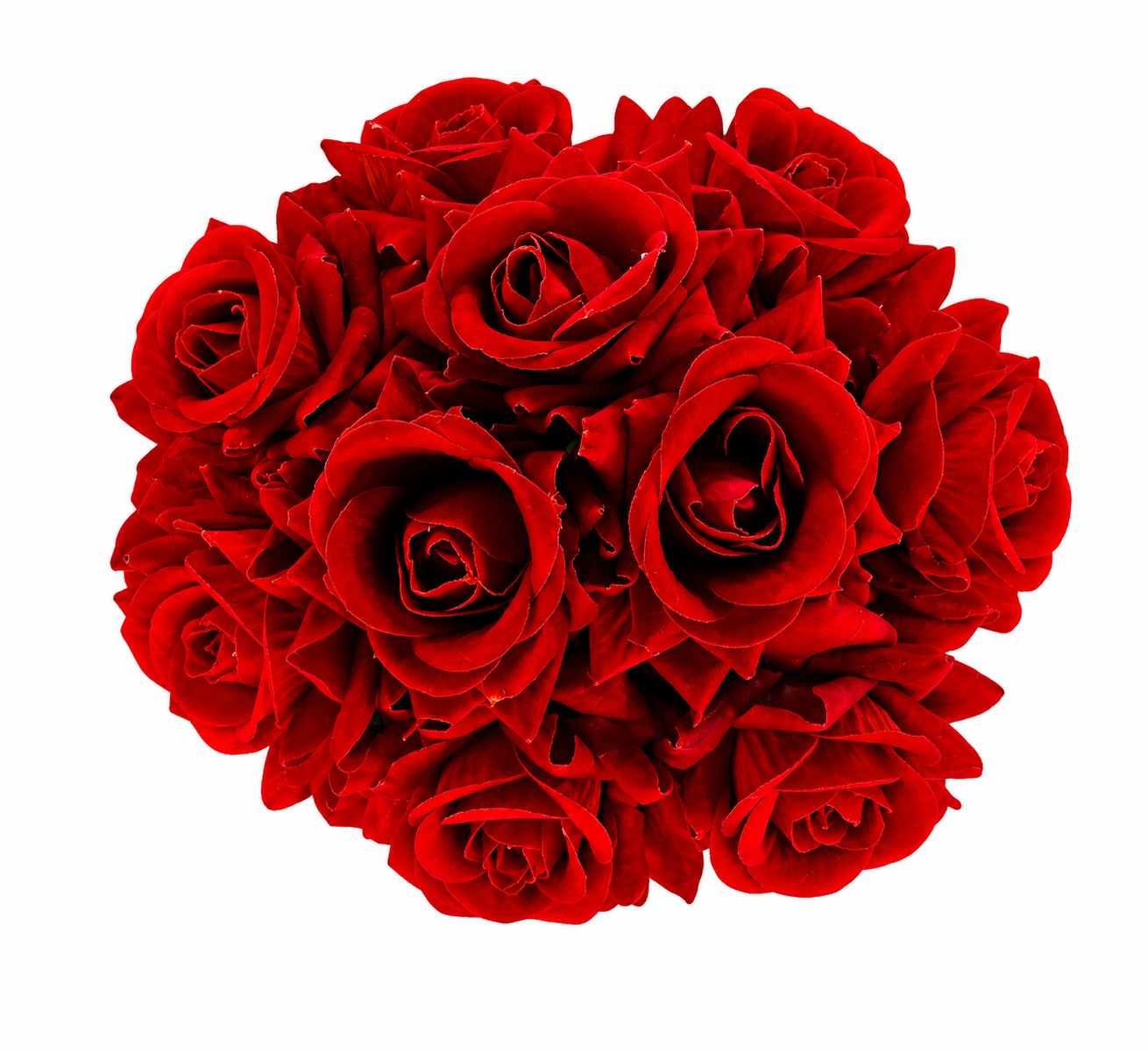 Red Rose Hair Bun Gajra | Premium Artificial Flowers | Elegant Floral Bun Accessory | Lightweight & Reusable | Traditional Hair Decoration for Bridal, Wedding, Festive & Cultural Hairstyles